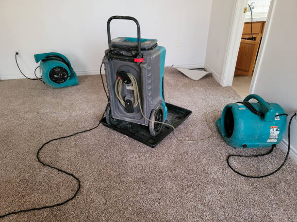 Water damage restoration mold remediation in Makawao, HI