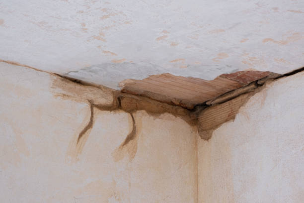 Best Water damage restoration experts  in Makawao, HI