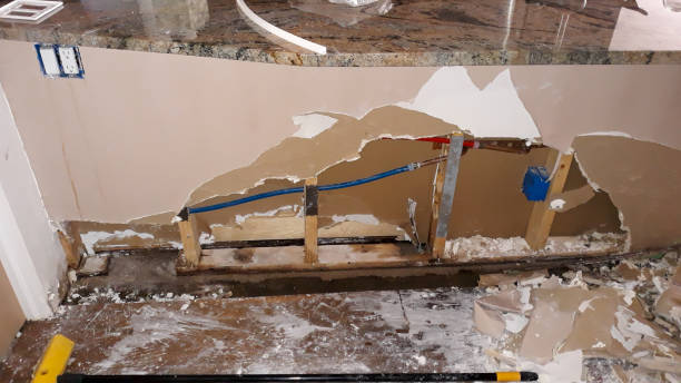 Best Local water damage restoration  in Makawao, HI
