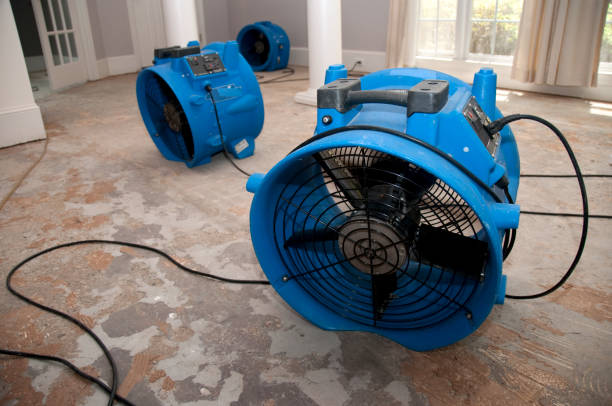 Best Flood damage cleanup  in Makawao, HI