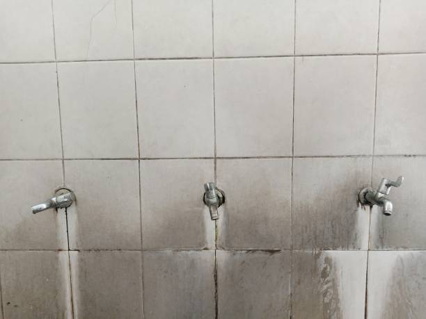 Carpet water damage restoration in Makawao, HI