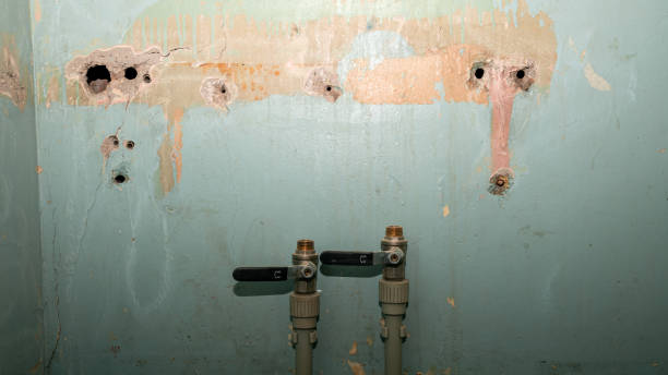 Best Flood restoration services  in Makawao, HI