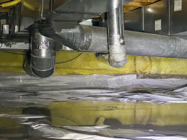 Reliable Makawao, HI Water damage restoration Solutions