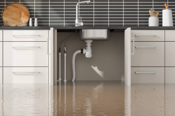 Best Water damage contractors near me  in Makawao, HI