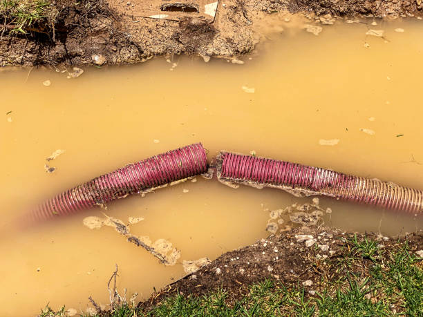 Water damage restoration process in Makawao, HI