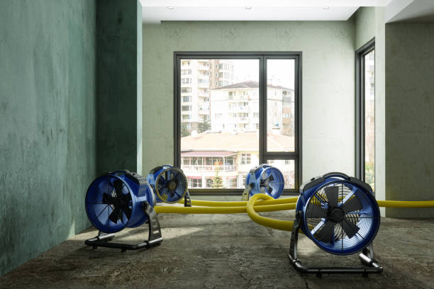 Best Sewage cleanup and water damage restoration  in Makawao, HI