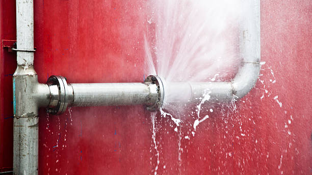 Best Flood damage cleanup  in Makawao, HI