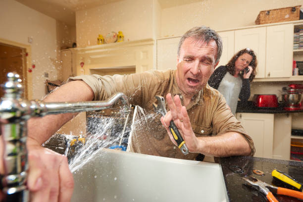 Best Basement water damage restoration  in Makawao, HI